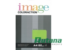 Spalvotas biuro popierius Image Coloraction Nr.66 žalia citrina A4 80g 50l. 6166