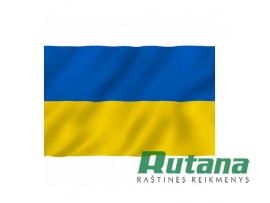 Ukrainos valstybinė vėliava 100 x 150 cm