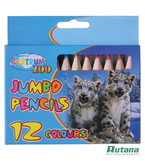 Spalvoti pieštukai JUMBO 12 spalvų Centrum 80586